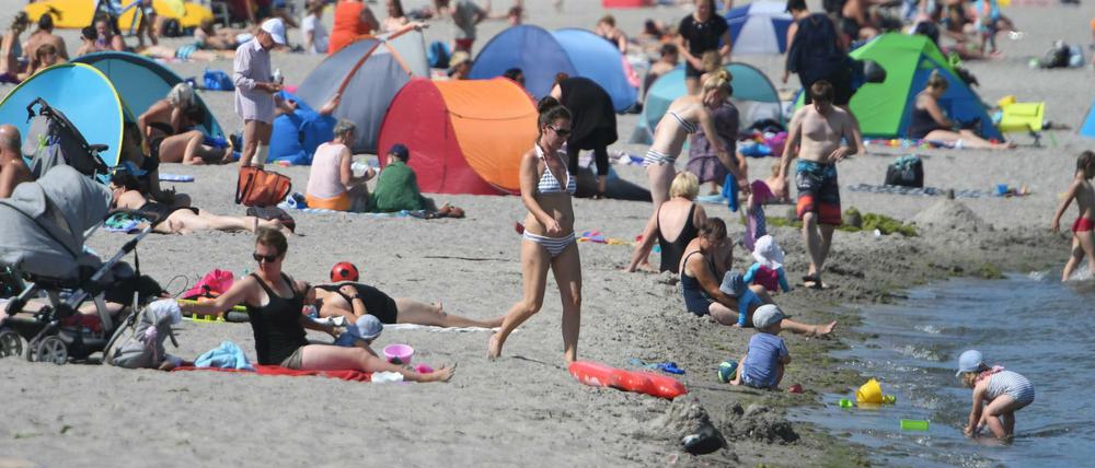Hunderte Badegäste nutzen das sonnige Sommerwetter zum Besuch der Badeanstalt am Strelasund. 