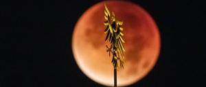 Die totale Mondfinsternis 2015, fotografiert hinter dem Frankfurter Römer.