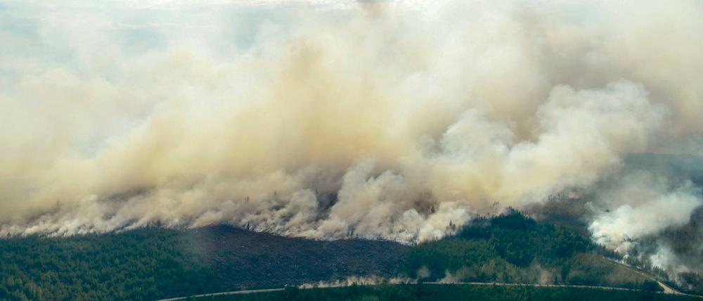 In Schweden sind große Waldbrände wegen der Sommerhitze völlig außer Kontrolle geraten.