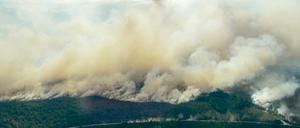 In Schweden sind große Waldbrände wegen der Sommerhitze völlig außer Kontrolle geraten.