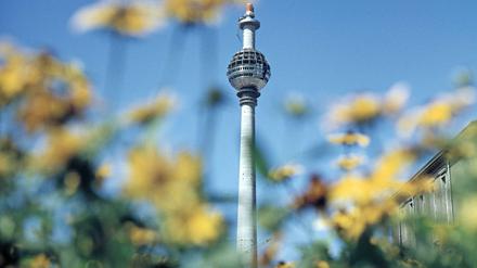 Der Fernsehturm am Alexanderplatz in der letzten Bauphase, ca.1968