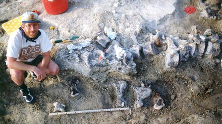 1998, USA: Ein Mitglied des Grabungsteams der Universität von Kansas kniet neben den Fußknochen eines nahen Verwandten des Brachiosaurier, der den Spitznamen "Bigfoot" erhielt. 