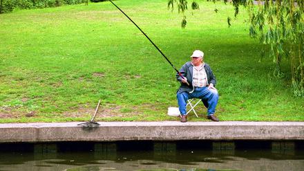 Ein Angler an der Spree in Berlin-Charlottenburg.