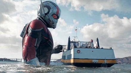 Gigant des Meeres. Mit der Betaversion seines neuen Anzugs hat der Ameisenmann Scott Lang (Paul Rudd) noch Probleme. Bei der Rettung eines Fährschiffs bewährt dieser sich allerdings. Szene aus Peyton Reeds „Ant-Man and the Wasp“.