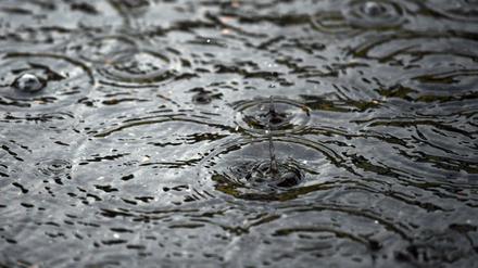 Regen gehört zu den meisten deutschen Sommern dazu.