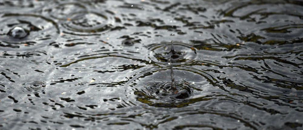 Regen gehört zu den meisten deutschen Sommern dazu.