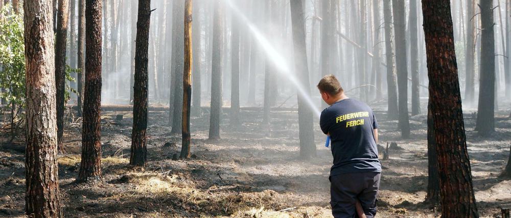 Foto: Christian Pörschmann/dpa