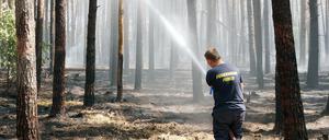 Foto: Christian Pörschmann/dpa