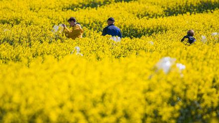 Pflanzenzucht. In der Wirtschaft befürchtet man neue Nachteile für Europa. 