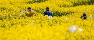 Pflanzenzucht. In der Wirtschaft befürchtet man neue Nachteile für Europa.