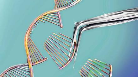 Schnitt durch die DNS. Die Gen-Schere Crispr könnte helfen, den Hunger in der Welt zu bekämpfen, sagen Forscher. Doch Europa bremse die Möglichkeiten aus. 