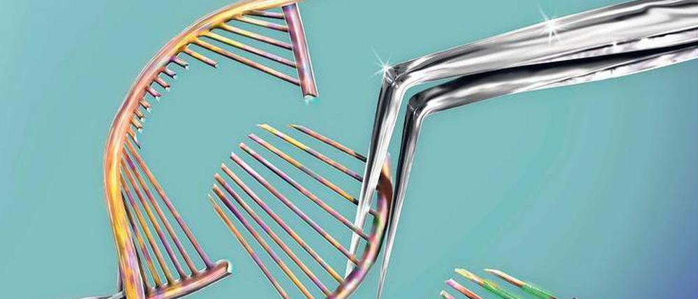 Schnitt durch die DNS. Die Gen-Schere Crispr könnte helfen, den Hunger in der Welt zu bekämpfen, sagen Forscher. Doch Europa bremse die Möglichkeiten aus.