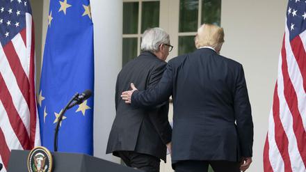 Einig in Washington: US-Präsident Trump und EU-Kommissionschef Juncker
