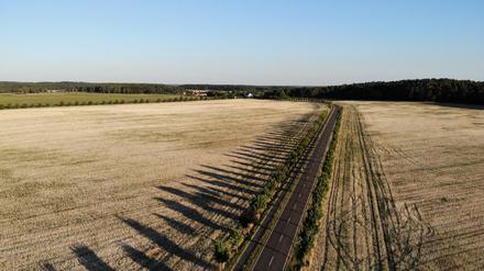 Die anhaltende Hitze macht besonders der Landwirtschaft zu schaffen.