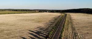 Die anhaltende Hitze macht besonders der Landwirtschaft zu schaffen.
