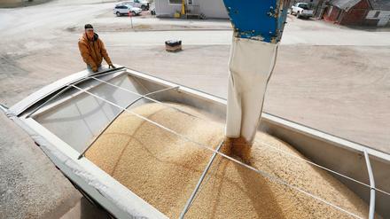 US-Landwirte wie hier in Iowa sind vom Export der Sojabohnen abhängig.
