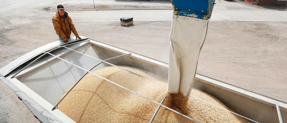 US-Landwirte wie hier in Iowa sind vom Export der Sojabohnen abhängig.