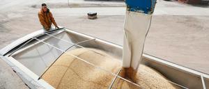 US-Landwirte wie hier in Iowa sind vom Export der Sojabohnen abhängig.