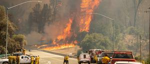 Nur fünf Prozent der Brände sind unter Kontrolle.