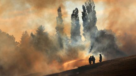 Feuerwehrleute löschen in Mecklenburg-Vorpommern ein Getreidefeld, das in Flammen steht.