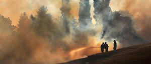 Feuerwehrleute löschen in Mecklenburg-Vorpommern ein Getreidefeld, das in Flammen steht.
