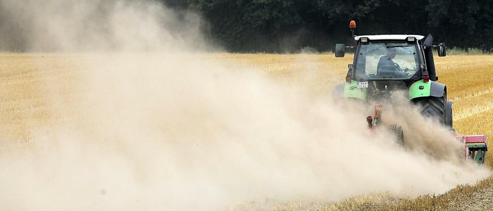 Ein Landwirt fährt mit einer Egge am Traktor über sein Feld und zieht eine Staubwolke hinter sich her. Die anhaltende Trockenheit bereitet den Bauern erhebliche Probleme.