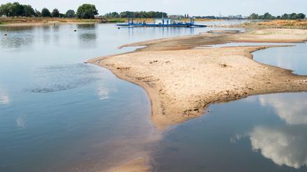 Sachsen-Anhalt, Ronney: Trockengefallene Sandbänke sind in der Elbe zu sehen.