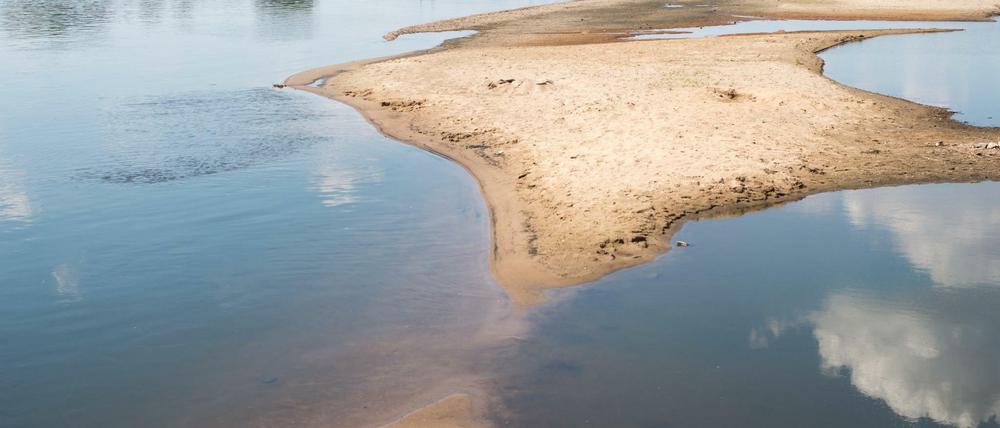Sachsen-Anhalt, Ronney: Trockengefallene Sandbänke sind in der Elbe zu sehen.