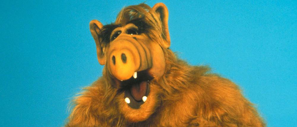 Warner Bros. plant eine Neuauflage der Serie "ALF" - der Außerirdische soll wieder bei einer weltlichen Familie unterkommen.