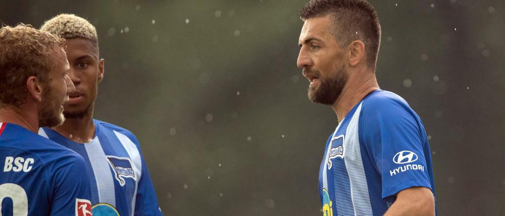 Vedad Ibisevic (r.) mit seinen Teamkollegen.