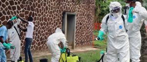Mitarbeiter des Gesundheitsamtes desinfizieren ein Gebäude des Krankenhauses in Mbandaka. 