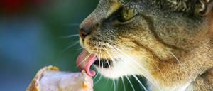 Was hilft bei der Hitze? Richtig, Eis!