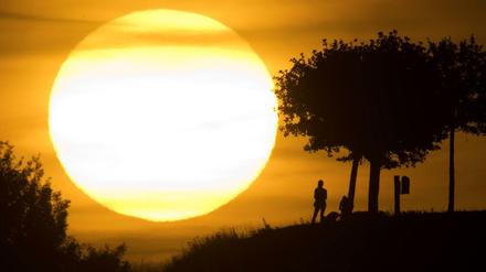 Der heiße Sommer kann ein Signal für einen viel tiefer gehenden Wandel sein