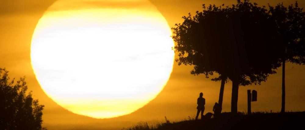 Der heiße Sommer kann ein Signal für einen viel tiefer gehenden Wandel sein