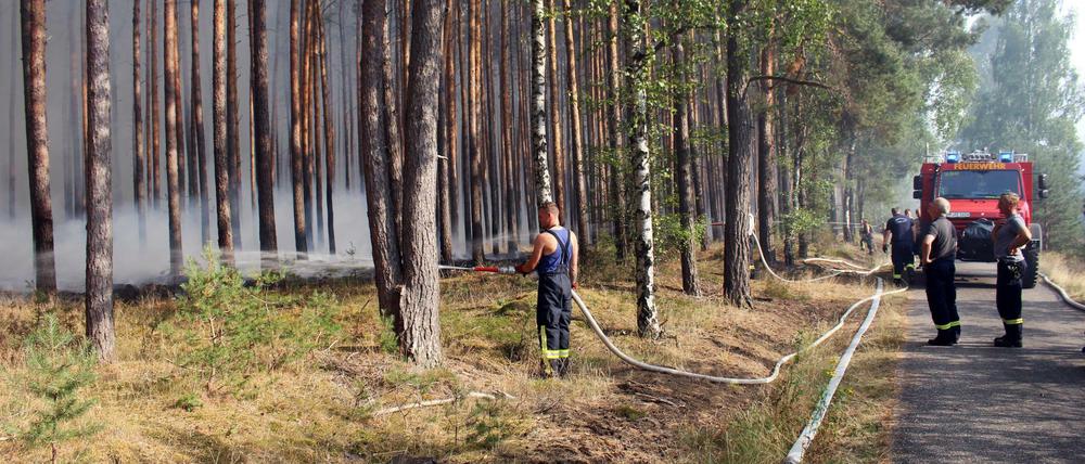 Waldbrand (Symbolbild).