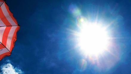 Die Sonne brennt nicht nur draußen, auch die Arbeitsbedingungen werden unerträglich. 