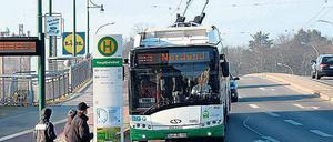 In Eberswalde fahren sie – die O-Busse. Aber nicht überall in der Stadt sind Oberleitungen durchsetzbar.