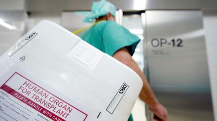 Auf dem Weg. Ein Organ vor der Transplantation.
