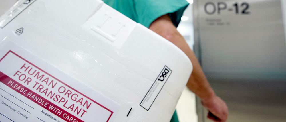 Auf dem Weg. Ein Organ vor der Transplantation.