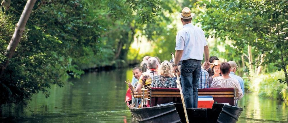 Auf Ausflügler aus Berlin wirkt der Spreewald derzeit wie eine Oase.