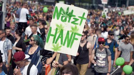 Teilnehmer auf der Hanfparade 2016.