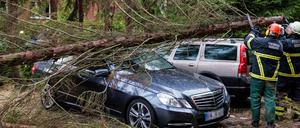 Feuerwehrleute zersägen im Hamburger Stadtteil Lohbrügge einen auf einem Auto liegenden Baum.