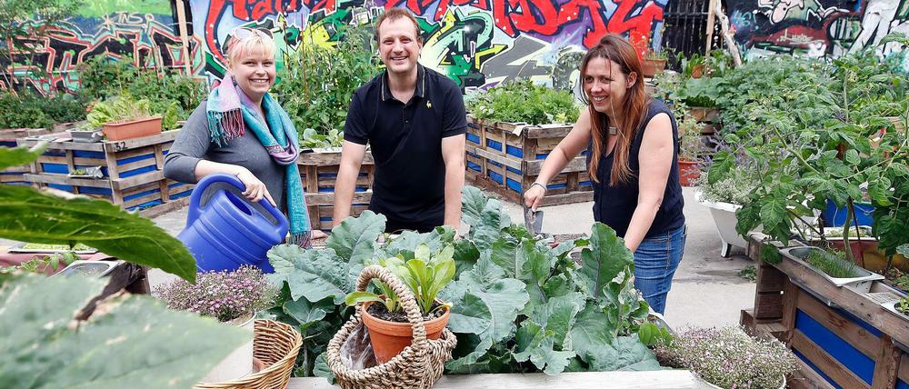 Drei engagierte Gärtner machen den Kiezgarten im Kungerkiez und ihre Stadt schöner.