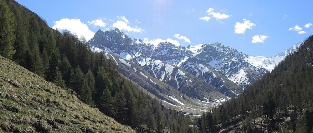 Malerische Alpen. Hier ein Gebirgsmassiv mit dem 3048 Meter hohen Piz Saliente in Italien.