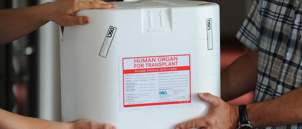 Eine Organtransportbox.