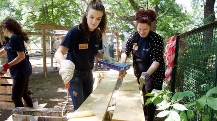 Im Rahmen eines Social Days unterstützen Scout-Mitarbeiter Vereine und soziale Einrichtungen.