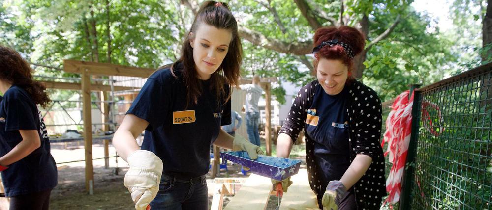 Im Rahmen eines Social Days unterstützen Scout-Mitarbeiter Vereine und soziale Einrichtungen.