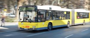 In der Linie M41 bekamen ein kleiner Junge und seine Geschwister mächtig Ärger.