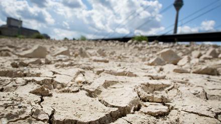 Der Klimawandel sorgt für Extremwetterereignisse, hier am ausgetrockneten Rheinufer in Düsseldorf.