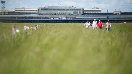Grüne Stadt-Oase: das Tempelhofer Feld.